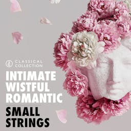 Small Strings - Classical Collection album artwork