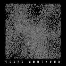Tense Momentum album artwork