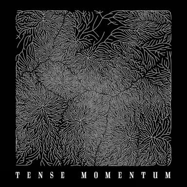 Tense Momentum album artwork