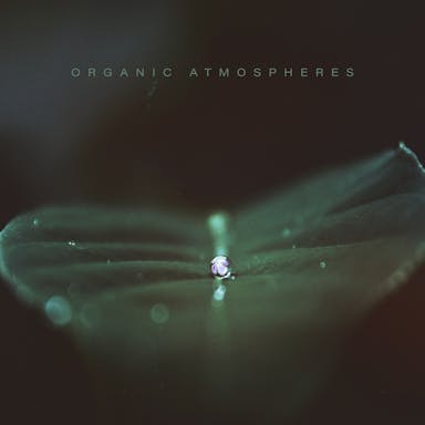 Organic Atmosphere album artwork