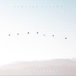 Endless Flight album artwork