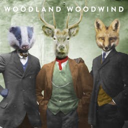 Woodland Woodwind album artwork