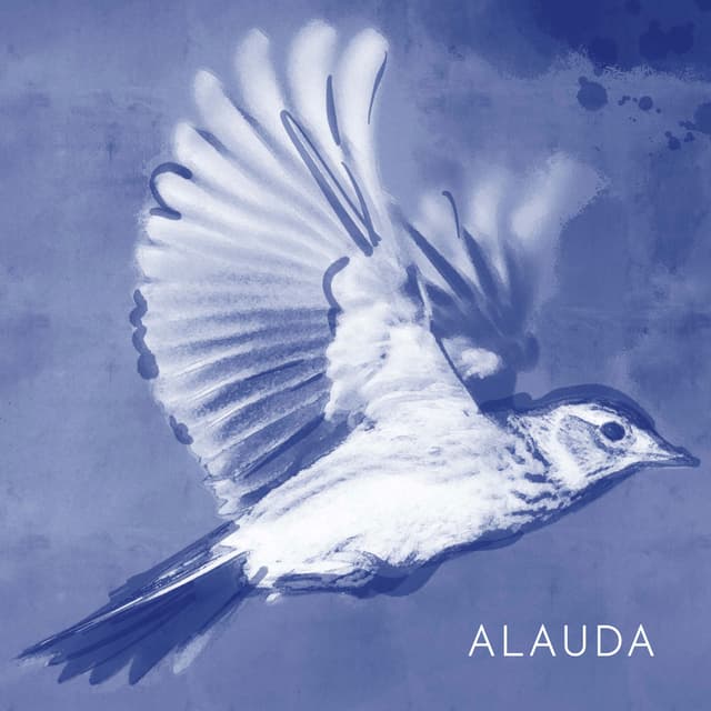 Alauda