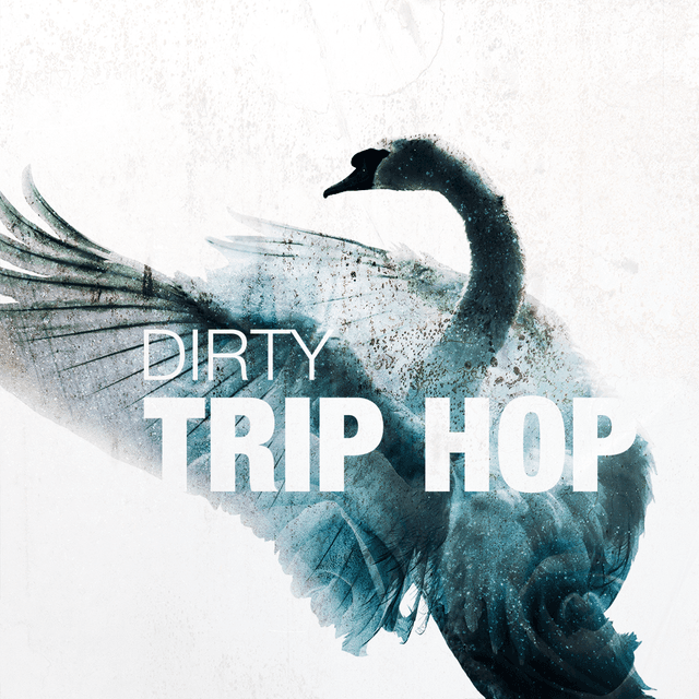 Dirty Trip Hop