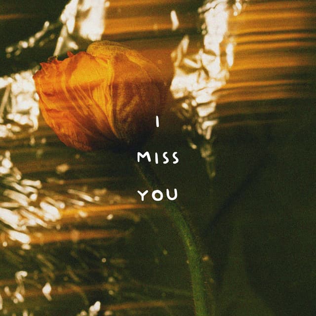 I Miss You