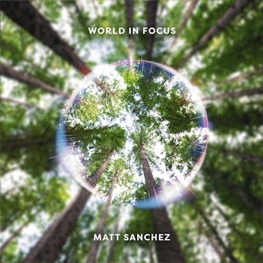 World In Focus album artwork
