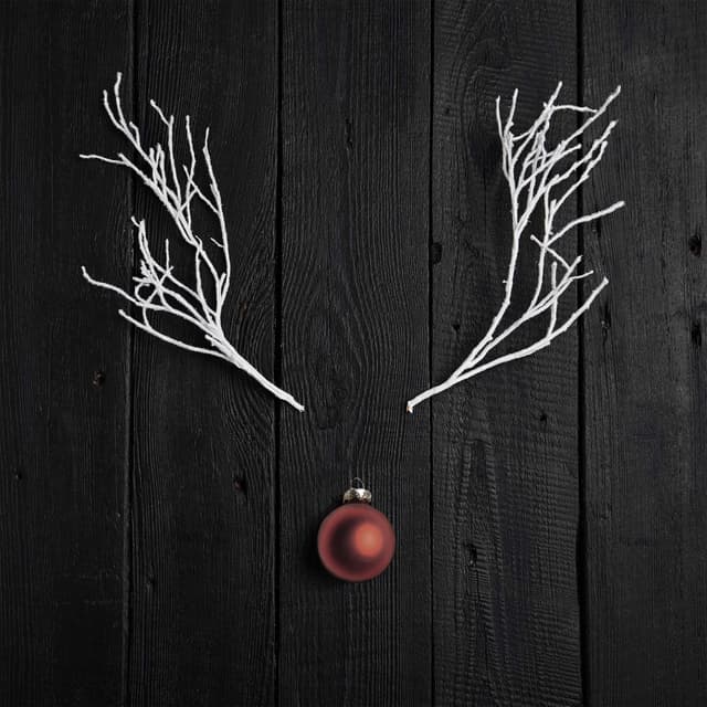 A Cappella Christmas